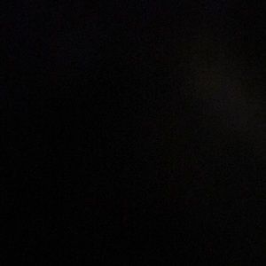 Meet your Posher, Sienna